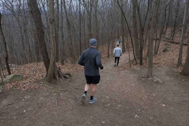 A runner descending a wooded trail seen from behind