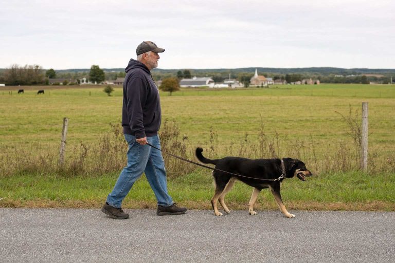 An older man walking his dog on a countryside lane
